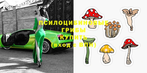 jwh Козельск