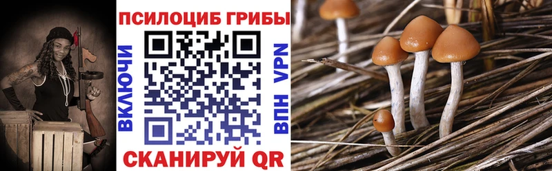 Купить где  Донской  Псилоцибиновые грибы мицелий 